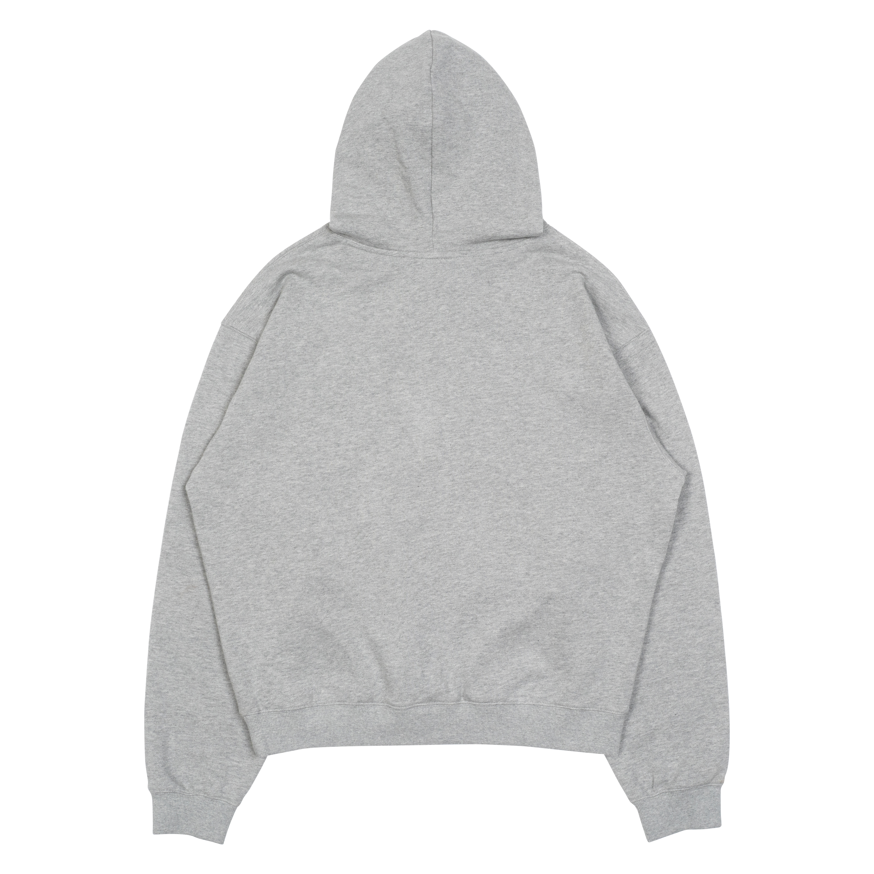 TCM rainbow hoodie (grey)
