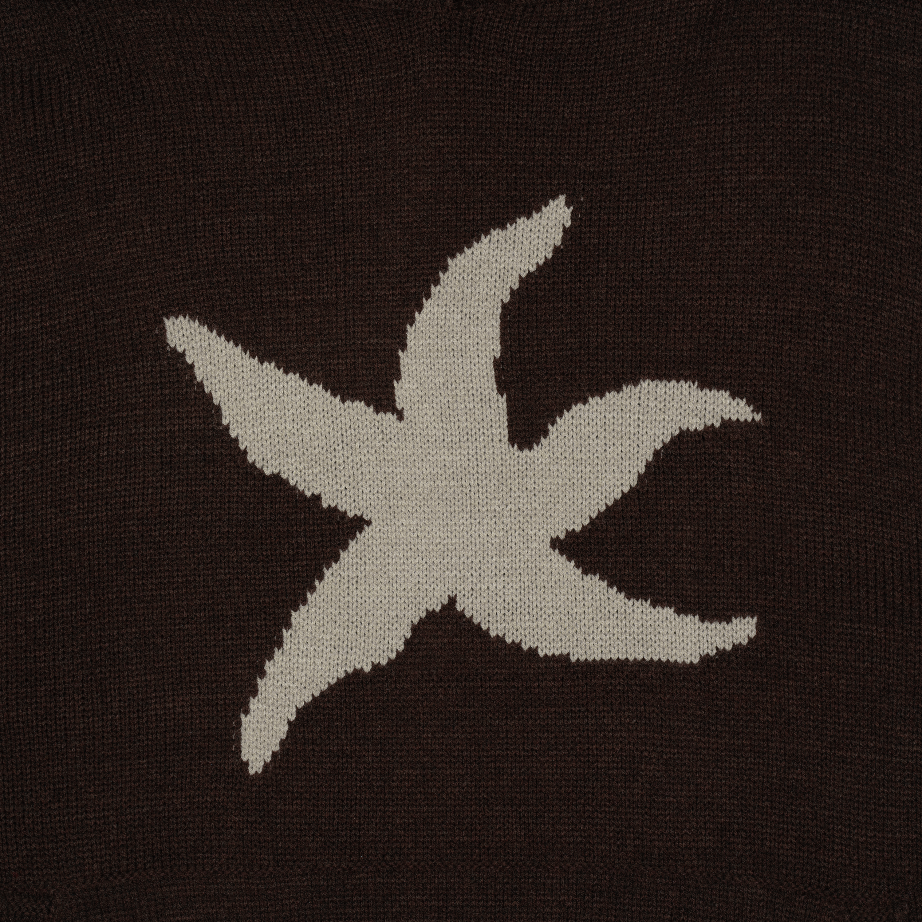 TCM starfish logo knit hoodie (brown)