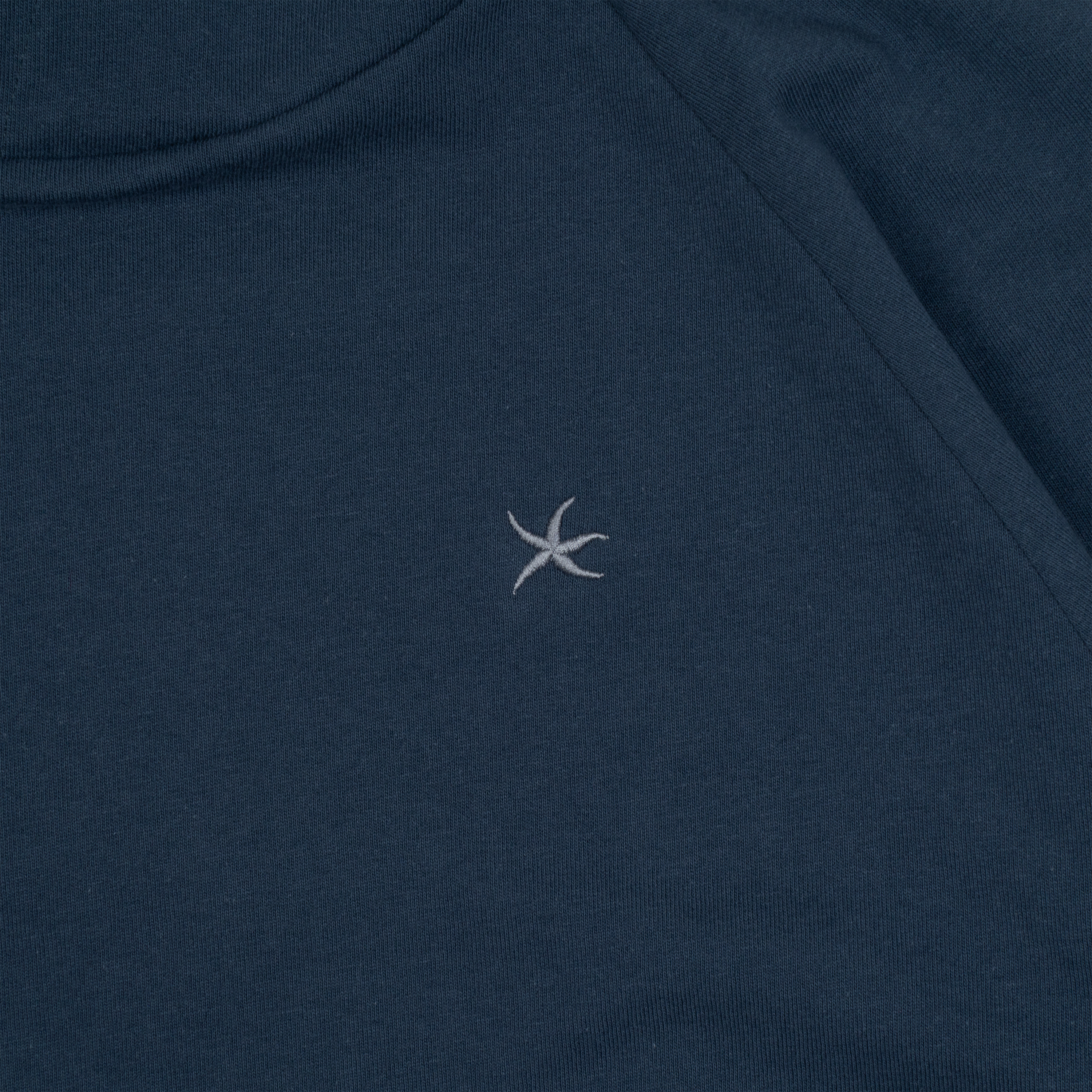 TCM hooded raglan long sleeve (blue)