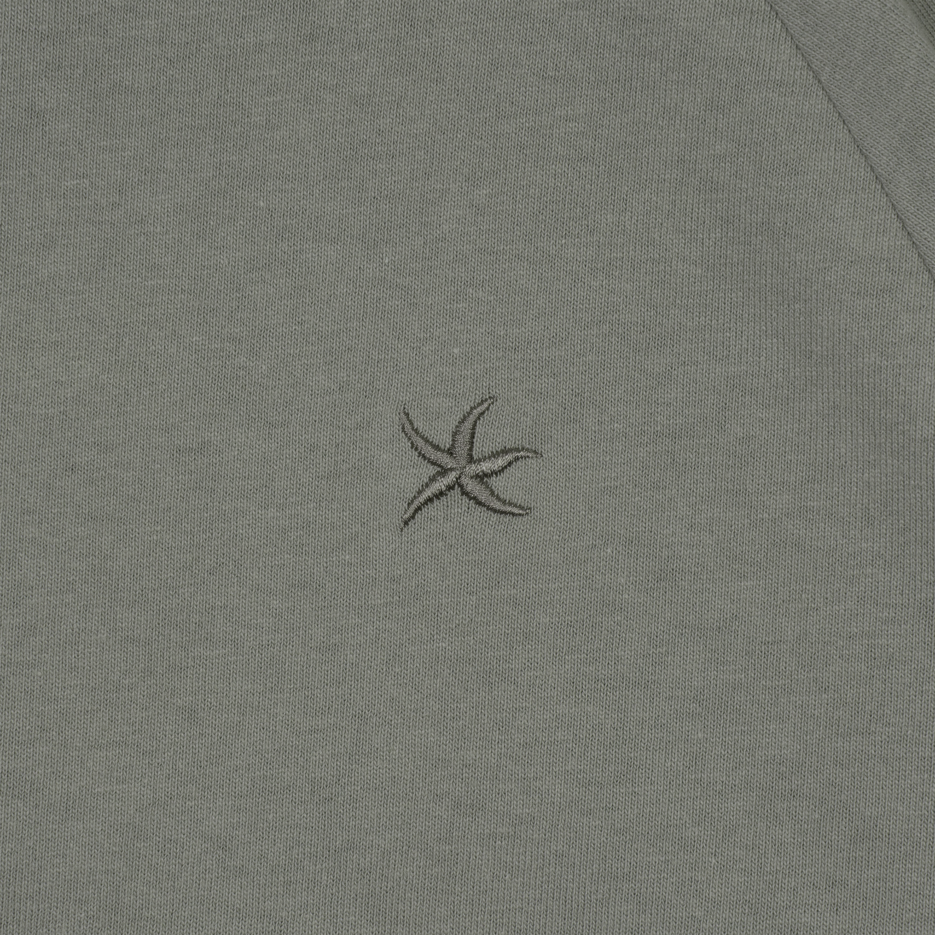 TCM hooded raglan long sleeve (grey)