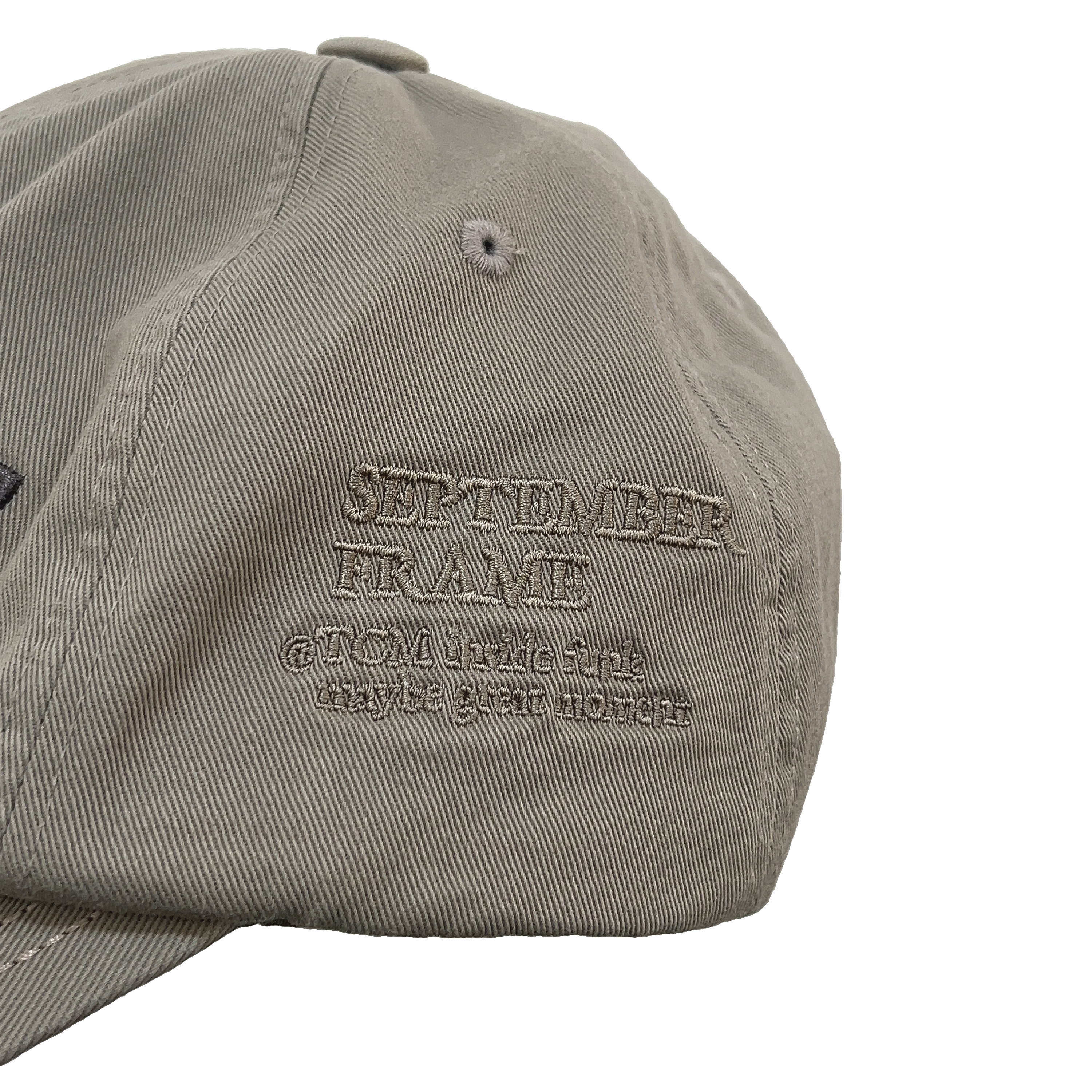 TCM frame cap (beige)