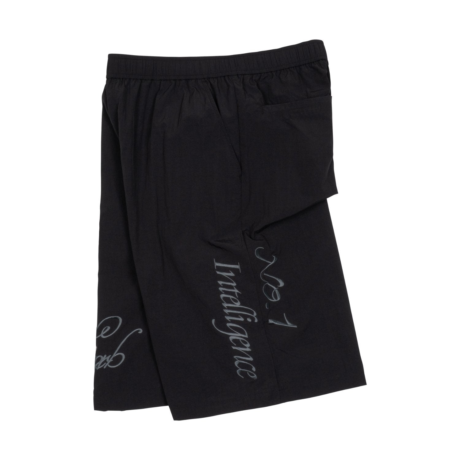 TCM int nylon half pants (black)