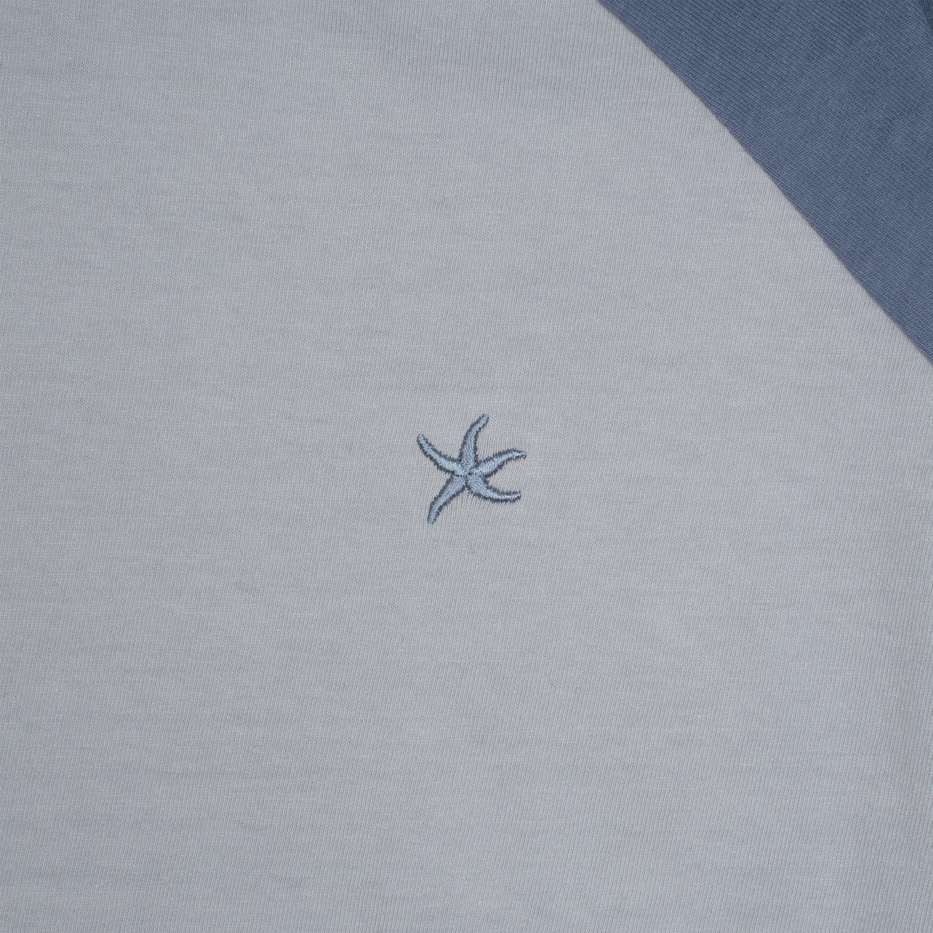 TCM mini logo raglan long sleeve (grey/blue)