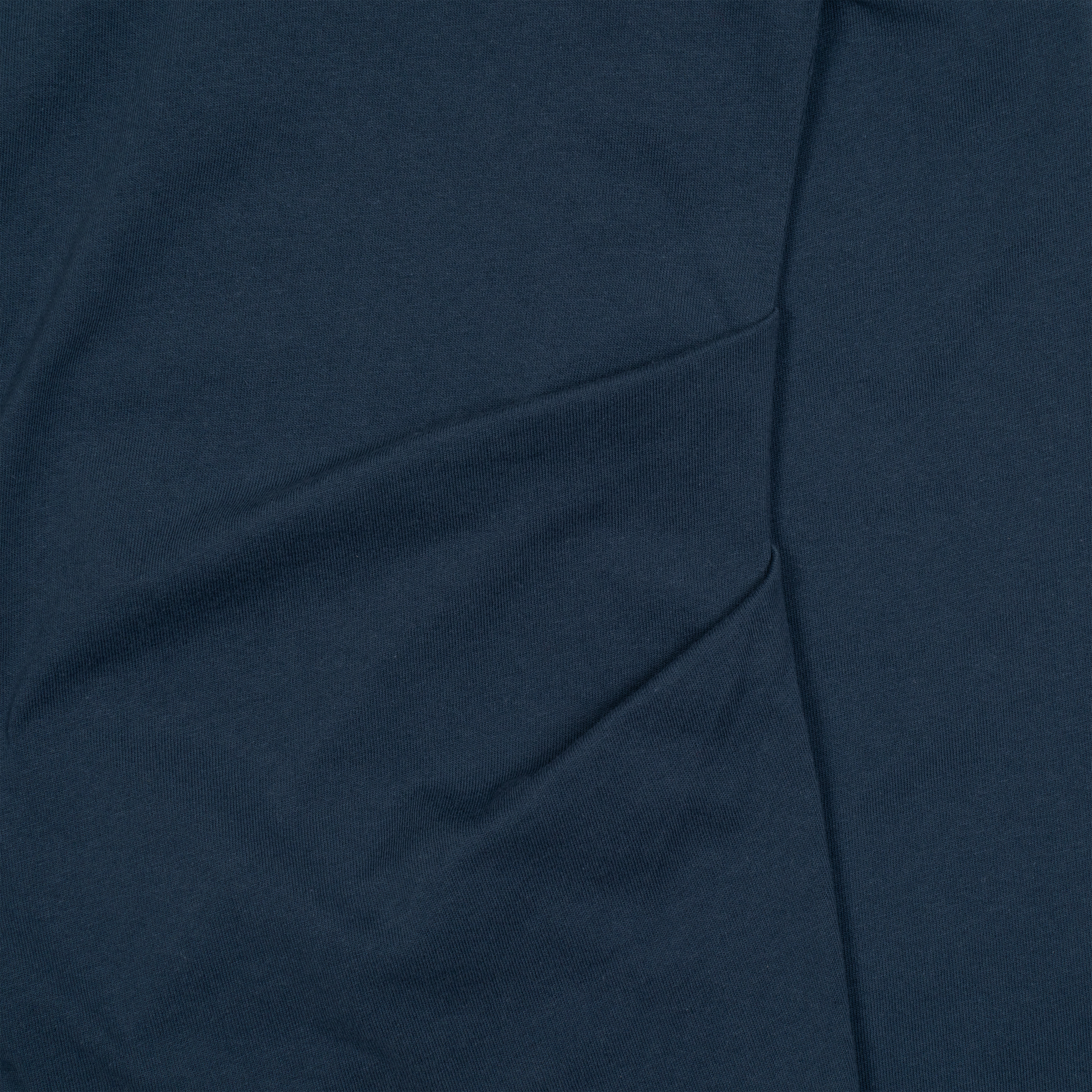 TCM hooded raglan long sleeve (blue)