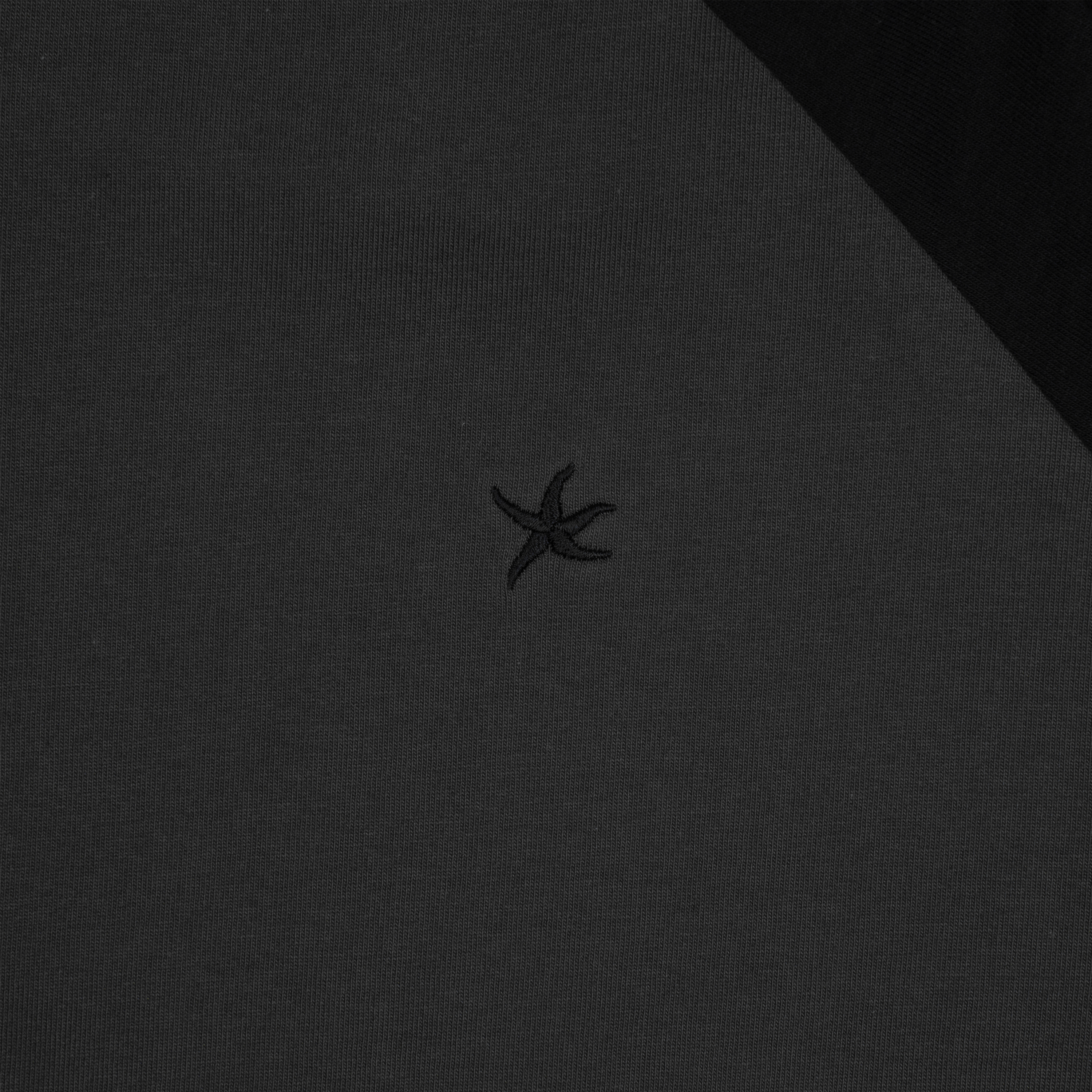 TCM mini logo raglan long sleeve (charcoal/black)