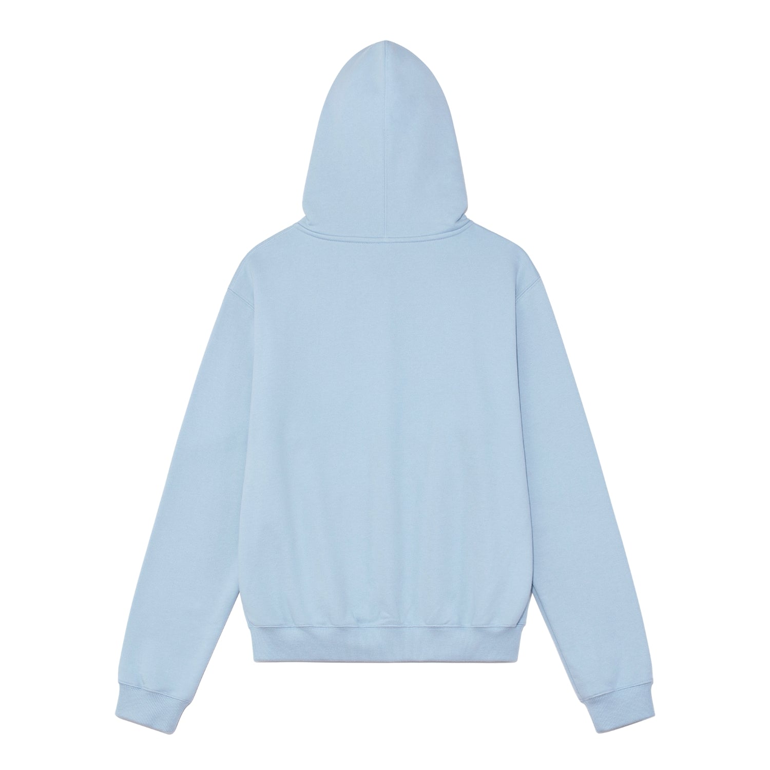 TCM snail hooded zip-up (sky blue)