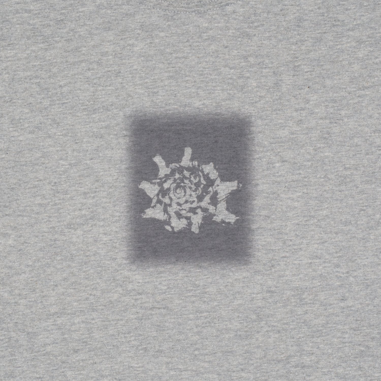 TCM conch T (grey)
