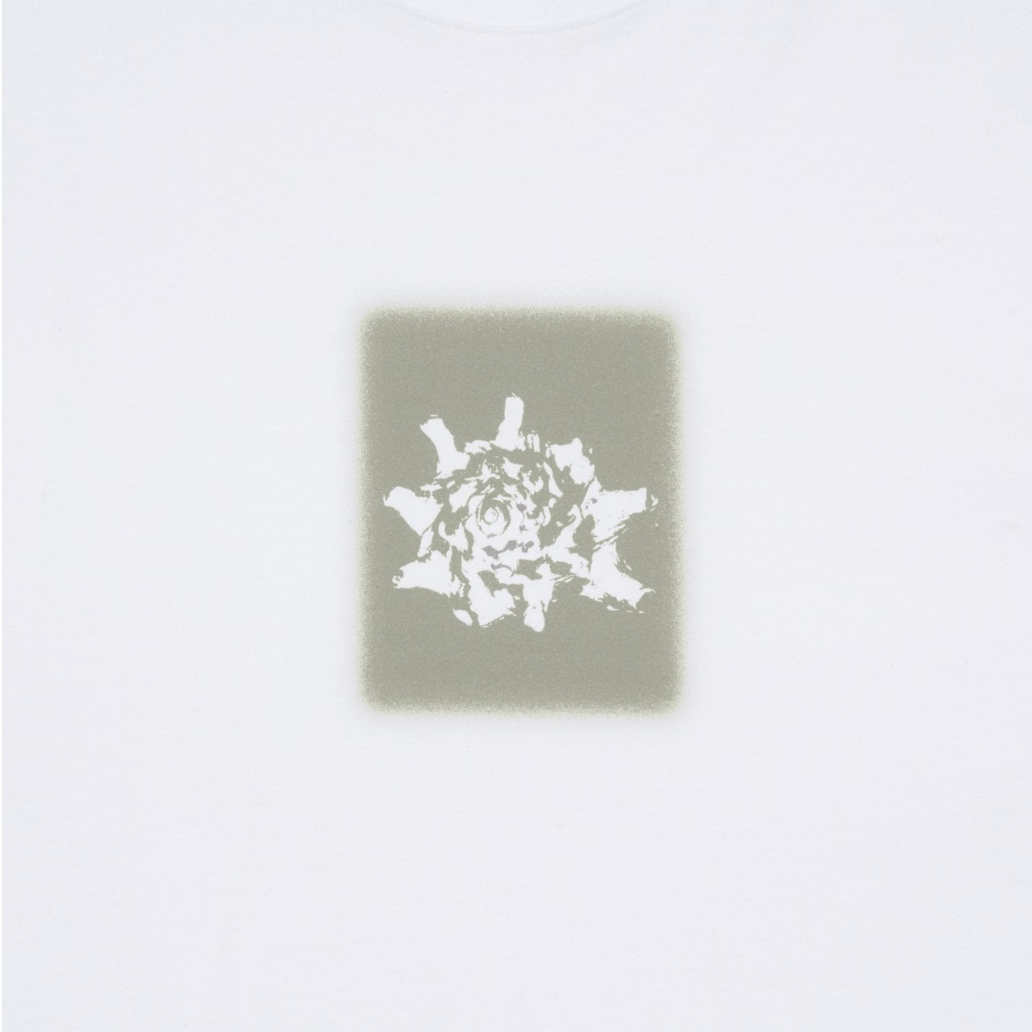 TCM conch T (white)