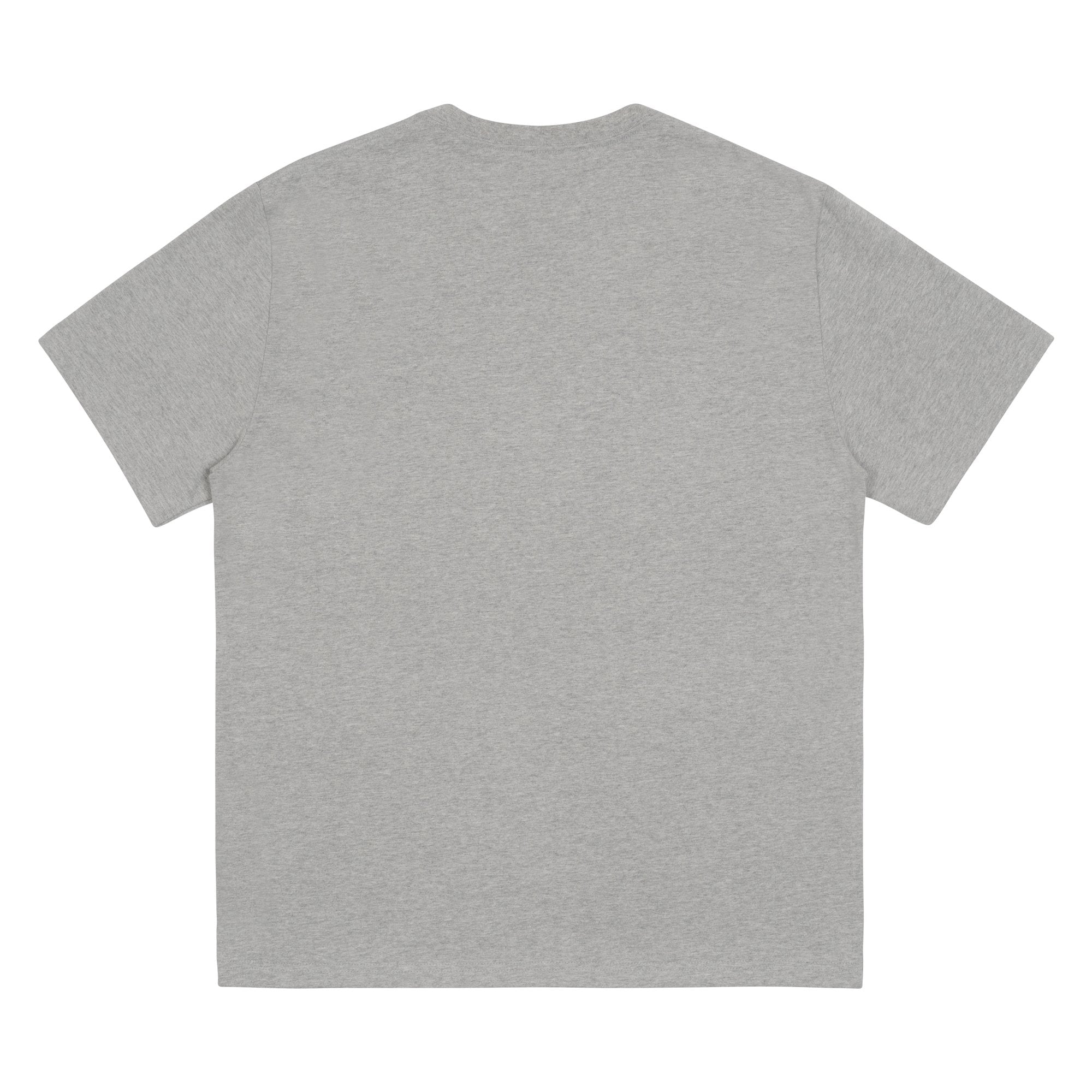 TCM tbt T (grey)