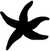 THECOLDESTMOMENT